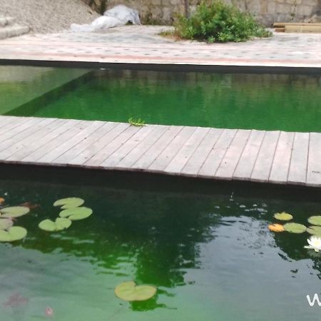 L'isle-Bouzon Gite Les Cabanes De Fallot Pour 15 Personnes - Piscine Naturelle מראה חיצוני תמונה