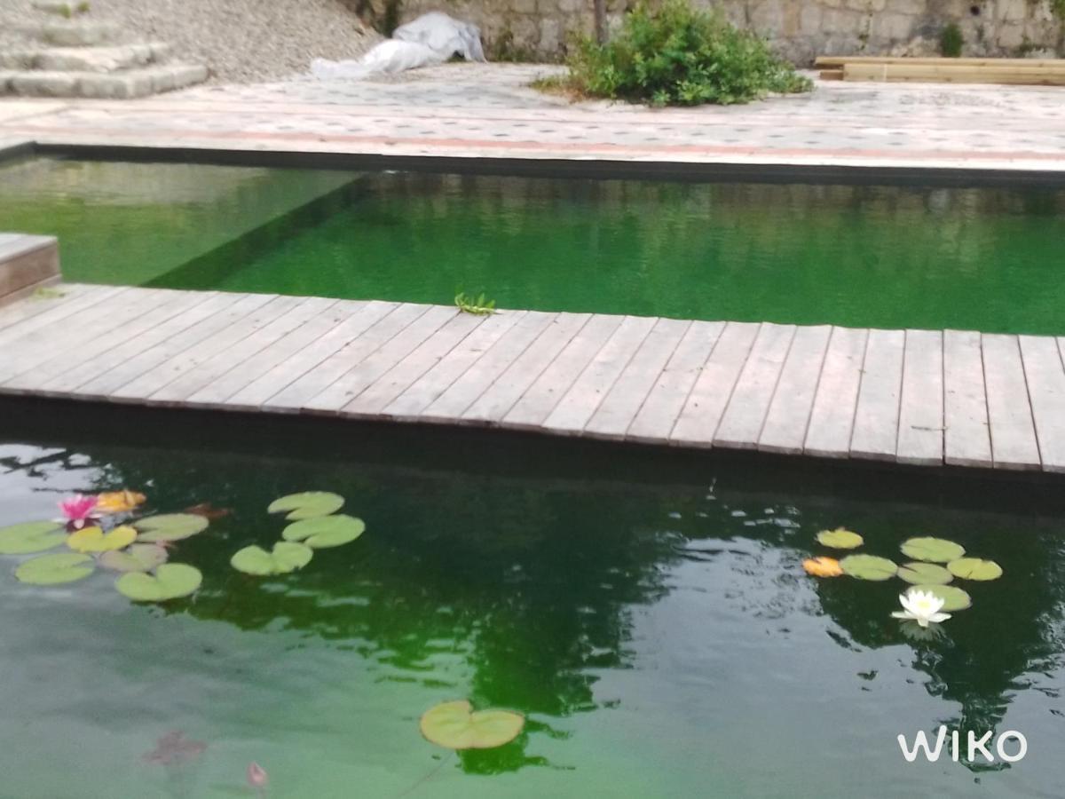 L'isle-Bouzon Gite Les Cabanes De Fallot Pour 15 Personnes - Piscine Naturelle מראה חיצוני תמונה