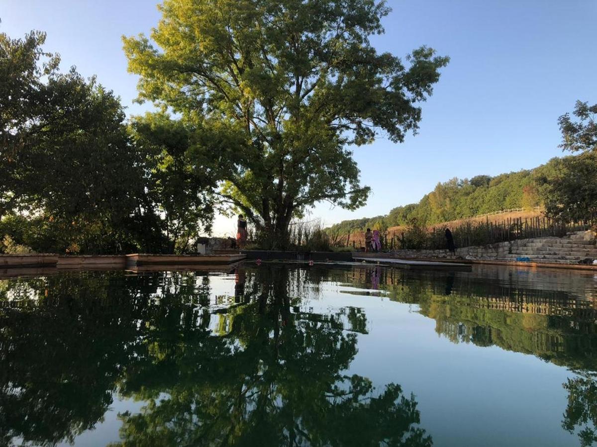 L'isle-Bouzon Gite Les Cabanes De Fallot Pour 15 Personnes - Piscine Naturelle מראה חיצוני תמונה
